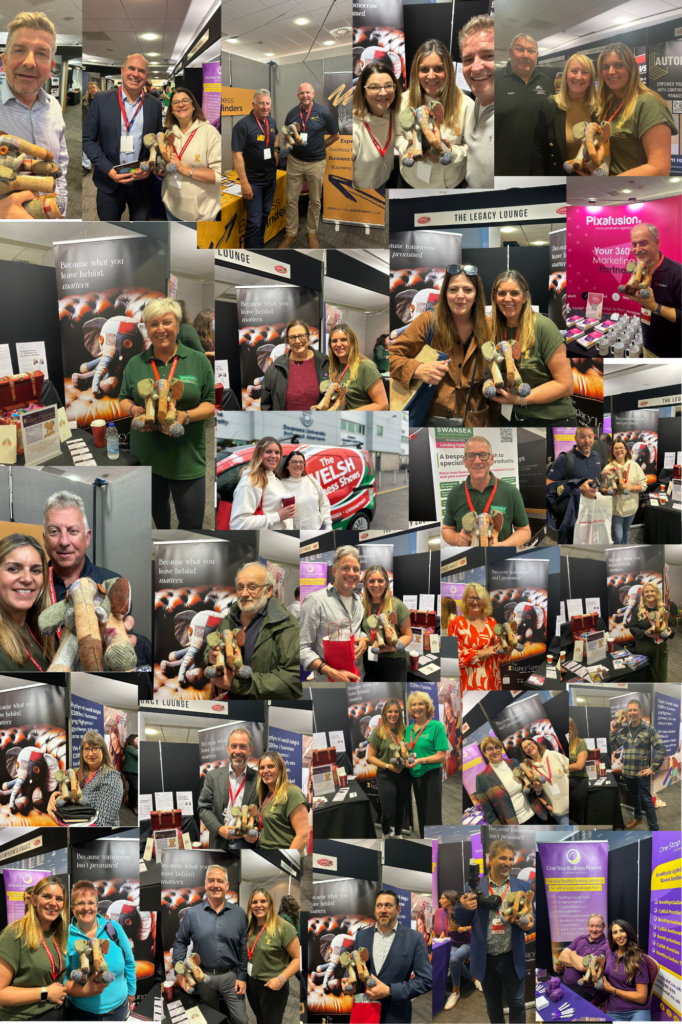 Photo gallery from the Welsh Business Show